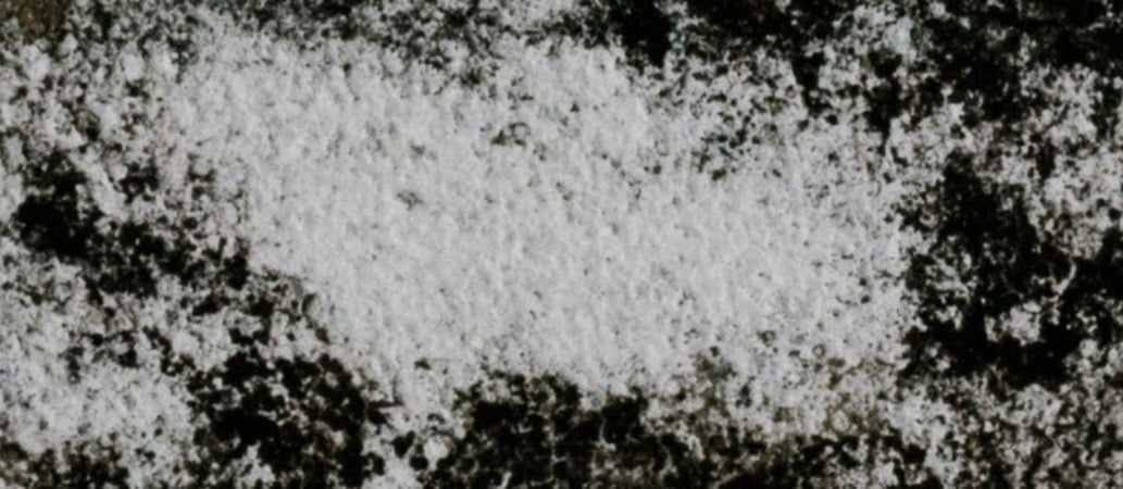 How to Prevent Mould Over Winter