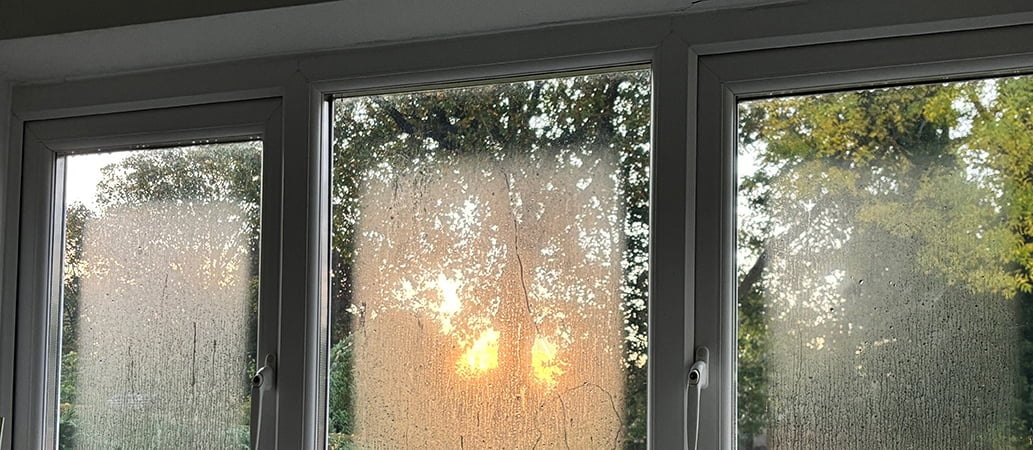 Condensation Between Window Panes: Causes and How to Fix It