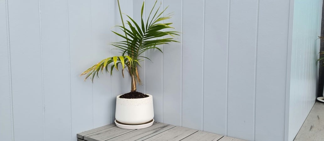 10 Types of Wall Panels