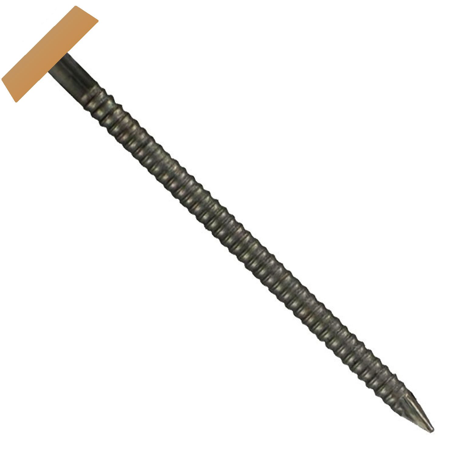 Cherry Oak 50mm Plastic Headed Nails (100 | Bright Nails)