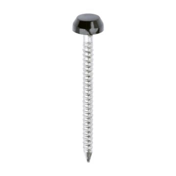 Black 30mm Plastic Headed Pins (250)