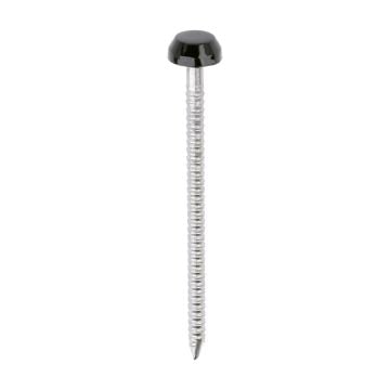 TIMCO 40mm Black Polymer Headed Pins