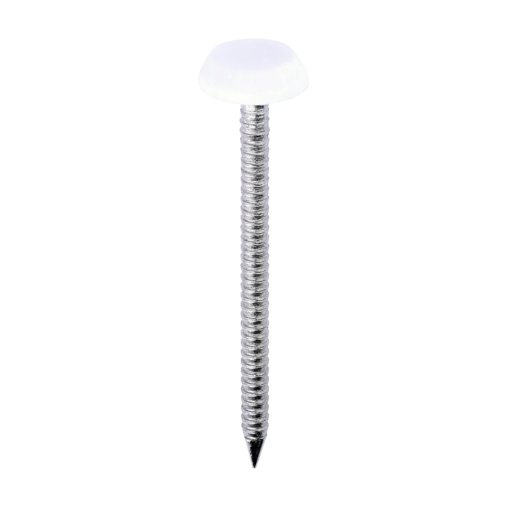 White 50mm Polymer Headed Nails (100 | TIMCO) White 50mm Polymer Headed Nails (100 | TIMCO)