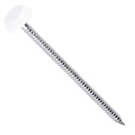 image of a section of a White Headed Nail